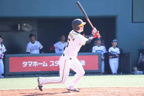 【トライアウト】阪神戦力外の西岡剛、4打数1安打1打点2三振で打撃終了　守備は二塁の位置へ