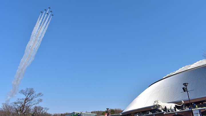 祝2022シーズン開幕！　試合前のベルーナドーム上空でブルーインパルスが展示飛行